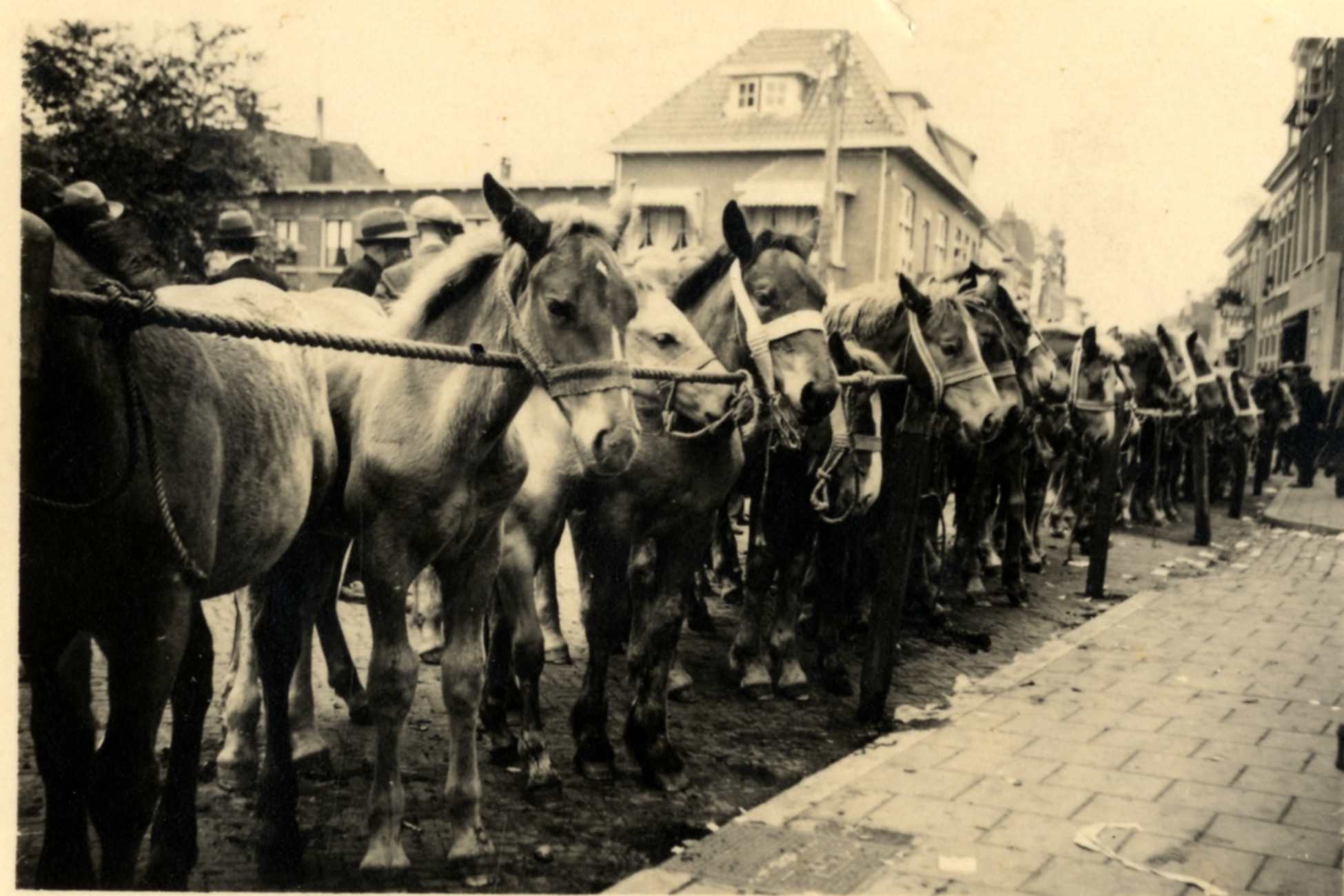 Paardenmarkt in de Dorpsstraat. Meestal op de derde woensdag in augustus gehouden.